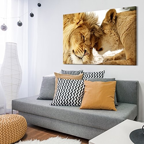 decomonkey Bilder Wandbilder Löwe Afrika 90x60 cm 1...