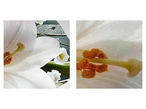 Bilder Blumen Lilien Wandbild 200 x 100 cm Vlies - Leinwand Bild XXL Format Wandbilder Wohnzimmer Wohnung Deko Kunstdrucke Grau 5 Teilig - MADE IN GERMANY - Fertig zum Aufhängen 204751c