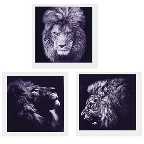Homyl 3 Stück Moderne Löwen Wandbilder Kunstdruck Leinwand Bilder