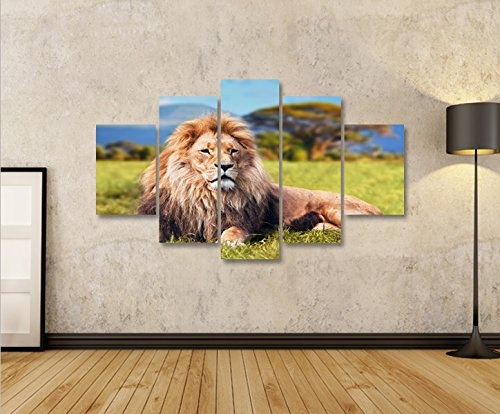 islandburner Bild Bilder auf Leinwand Löwe V2 König der Tiere Löwen MF XXL Poster Leinwandbild Wandbild Dekoartikel Wohnzimmer Marke