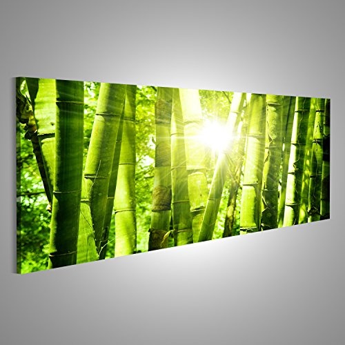 islandburner Bild Bilder auf Leinwand Sonnenstrahlen Bambus Grün Poster, Leinwandbild, Wandbilder