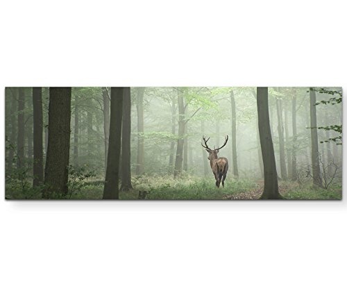 Paul Sinus Art Leinwandbilder | Bilder Leinwand 120x40cm Hirsch im Wald