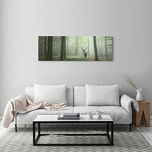 Paul Sinus Art Leinwandbilder | Bilder Leinwand 120x40cm Hirsch im Wald