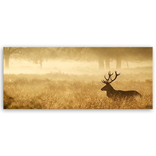 ge Bildet® hochwertiges Leinwandbild Panorama Naturbilder Landschaftsbilder - Hirsch in der Natur - Naturbild - 100 x 40 cm einteilig 2212 N
