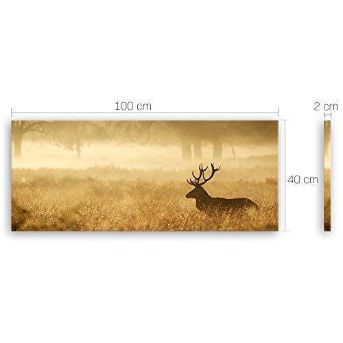 ge Bildet® hochwertiges Leinwandbild Panorama Naturbilder Landschaftsbilder - Hirsch in der Natur - Naturbild - 100 x 40 cm einteilig 2212 N