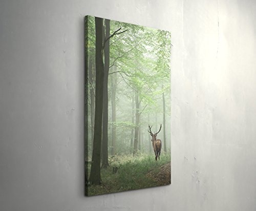 Eau Zone Wandbild auf Leinwand 90x60cm Hirsch im Wald