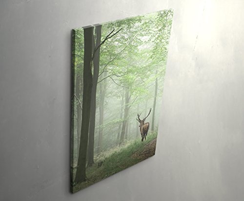 Eau Zone Wandbild auf Leinwand 90x60cm Hirsch im Wald