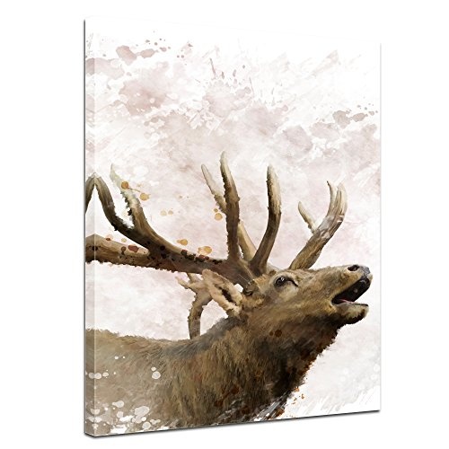 Wandbild - Aquarell - Hirsch - Bild auf Leinwand 30 x 40 cm einteilig - Leinwandbilder - Bilder als Leinwanddruck - Tierwelten - Malerei - Geweih - Wild - röhrender Hirsch