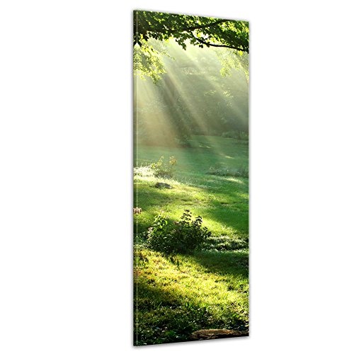 Wandbild - Wiese - Bild auf Leinwand - 30 x 90 cm - Leinwandbilder - Bilder als Leinwanddruck - Landschaften - Natur - Sonnenstrahlen auf Einer grünen Wiese
