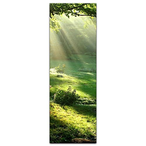 Wandbild - Wiese - Bild auf Leinwand - 30 x 90 cm - Leinwandbilder - Bilder als Leinwanddruck - Landschaften - Natur - Sonnenstrahlen auf Einer grünen Wiese
