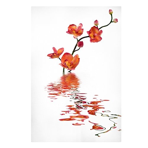 Bilderwelten Leinwandbild Flamy Orchid Waters Hochformat 3:2 Leinwandbild Leinwandbild Leinwanddruck XXL Leinwanddruck Abmessung HxB: 60cm x 40cm