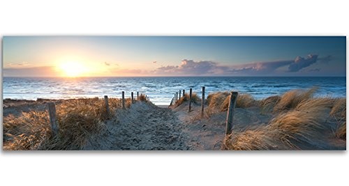 Feeby Frames, Leinwandbild, Bilder, Wand Bild, Wandbilder, Kunstdruck 50x150cm, STRAND, MEER, WASSER, LANDSCHAFT, AUSSICHT, WEG, SAND, GRAS, BLAU, BRAUN