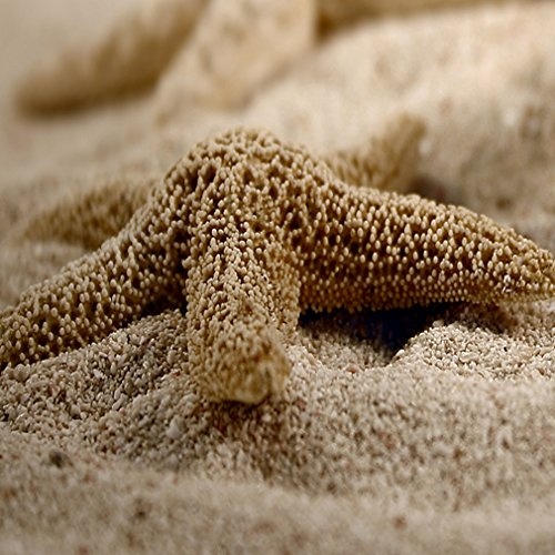 decomonkey Bilder Steine Spa 40x40 cm 4 Teilig Leinwandbilder Bild auf Leinwand Vlies Wandbild Kunstdruck Wanddeko Wand Wohnzimmer Wanddekoration Deko Zen Natur Sand