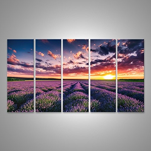 islandburner Bild Bilder auf Leinwand Lavendelfeld Provence Lavendel Poster, Leinwandbild, Wandbilder