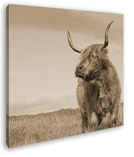 deyoli riesige Kuh auf Einer Landschaft im Format: 70x70 Effekt: Sepia als Leinwandbild, Motiv auf Echtholzrahmen, Hochwertiger Digitaldruck mit Rahmen, Kein Poster oder Plakat