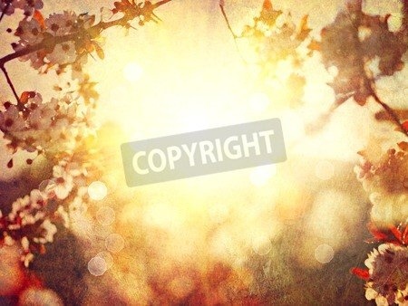 Leinwand-Bild 130 x 100 cm: "Spring blossom blurred background. Vintage styled, sepia toned", Bild auf Leinwand