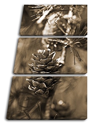 deyoli Tannenzapfen am AST Format: 3-teilig 120x80 Effekt: Sepia als Leinwandbild, Motiv fertig gerahmt auf Echtholzrahmen, Hochwertiger Digitaldruck mit Rahmen, Kein Poster oder Plakat