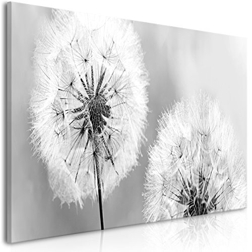 decomonkey Bilder Blumen Pusteblumen 100x45 cm 1 Teilig...