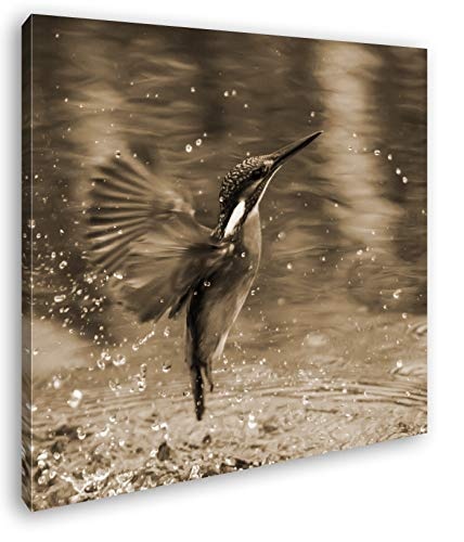 deyoli Fliegender Eisvögel Format: 70x70 Effekt: Sepia als Leinwandbild, Motiv auf Echtholzrahmen, Hochwertiger Digitaldruck mit Rahmen, Kein Poster oder Plakat