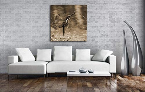 deyoli Fliegender Eisvögel Format: 70x70 Effekt: Sepia als Leinwandbild, Motiv auf Echtholzrahmen, Hochwertiger Digitaldruck mit Rahmen, Kein Poster oder Plakat