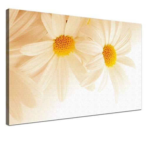LANA KK Leinwandbild"Kamillen Sepia" mit Blumen auf Echtholz-Keilrahmen, Beige, 120 x 80 x 2.5 cm