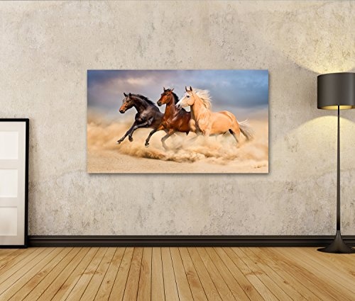 islandburner Bild Bilder auf Leinwand Pferd Laufen Wandbild, Poster, Leinwandbild EVU