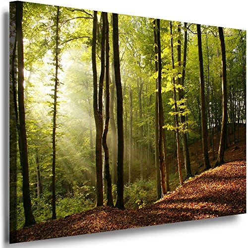 Boikal Bilder Waldbilder 30x40cm - XXL Leinwandbilder - Einteilige Wandbilder - Leinwand auf Rahmen - Wald Landschaft Sonne - Motive auswählbar - Kunstdruck VI1P2-64J