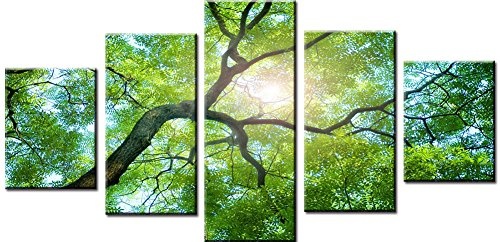 Wowdecor Wandbild, 5-teilig, Leinwand Malerei Prints für mehrere Bilder - Grün Baum Sonne Giclée Bilder Bild auf Leinwand, Poster, Wall Decor Geschenk, ungerahmt, grün, Large