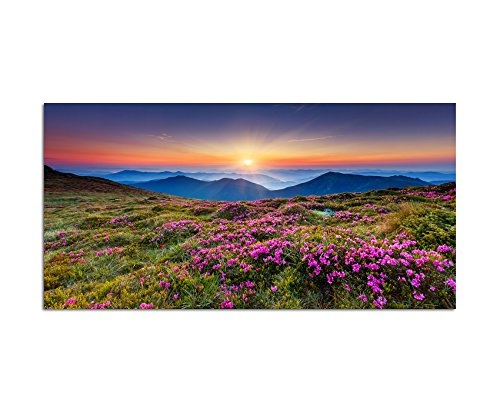 120x60cm - WANDBILD Ukraine Blumenwiese Berge Sonne Natur - Leinwandbild auf Keilrahmen modern stilvoll - Bilder und Dekoration