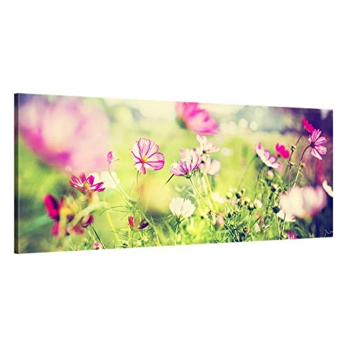 ge Bildet® hochwertiges Leinwandbild Panorama XXL Pflanzen Bilder - Frühling - Blumen Natur Wiese rosa pink - 120 x 50 cm einteilig 2206 L