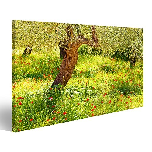 islandburner Bild auf Leinwand Bild von roter Mohn Blumen Wiese Wandbild, Poster, Leinwandbild, Deko, Wanddeko, Wandtattoo