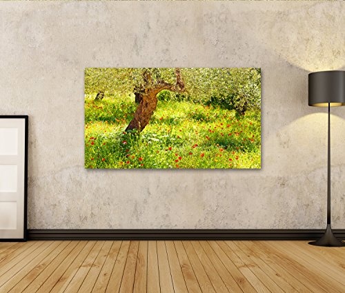 islandburner Bild auf Leinwand Bild von roter Mohn Blumen Wiese Wandbild, Poster, Leinwandbild, Deko, Wanddeko, Wandtattoo