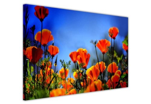 CANVAS IT UP Leinwandbild, Kunstdruck Orange Poppy Blumen...