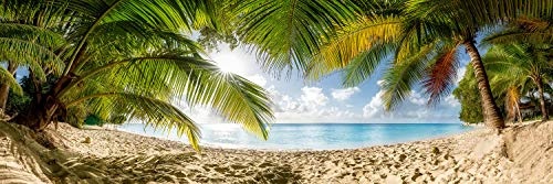 Leinwandbild in Galerie Qualität. Palmenstrand mit grossen Palmen auf Barbados in der Karibik . . Leinwand Panoramabild aufgezogen auf Naturholz Keilrahmen als Kunst Wandbild | Bild