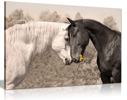 Leinwandbild Sepia Pferd, 45,7 x 30,5 cm, Schwarz/Weiß