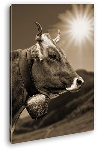 deyoli edle Alpen Kuh Format: 100x70 Effekt: Sepia als Leinwandbild, Motiv fertig gerahmt auf Echtholzrahmen, Hochwertiger Digitaldruck mit Rahmen, Kein Poster oder Plakat