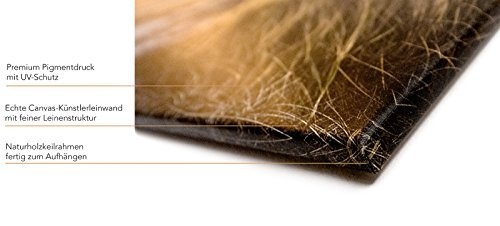 Leinwandbild in Galerie Qualität. USA. Flusschleife des Colorado. Limited Edition. Auflage: 150 Stück. Leinwand Foto aufgezogen auf Naturholz Keilrahmen als Kunst Wandbild | Bild