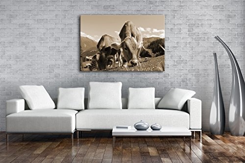 friedliche Kühe auf einer Weide in Österreich Format: 80x60 Effekt: Sepia als Leinwandbild, Motiv fertig gerahmt auf Echtholzrahmen, Hochwertiger Digitaldruck mit Rahmen, Kein Poster oder Plakat