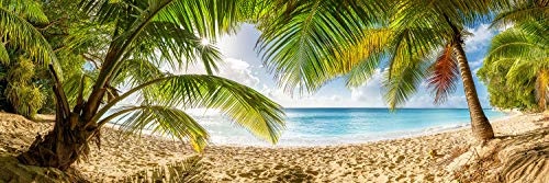 Voss Fine Art Photography Leinwandbild in Galerie Qualität. Einsamer Palmenstrand auf Barbados in der Karibik Leinwand Panoramabild aufgezogen auf Naturholz Keilrahmen als Kunst Wandbild | Bild