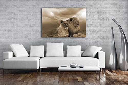 deyoli Löwen in Afrika Format: 120x80 Effekt: Sepia als Leinwandbild, Motiv fertig gerahmt auf Echtholzrahmen, Hochwertiger Digitaldruck mit Rahmen, Kein Poster oder Plakat