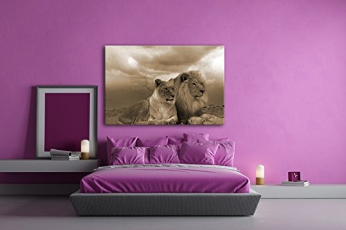 deyoli Löwen in Afrika Format: 120x80 Effekt: Sepia als Leinwandbild, Motiv fertig gerahmt auf Echtholzrahmen, Hochwertiger Digitaldruck mit Rahmen, Kein Poster oder Plakat