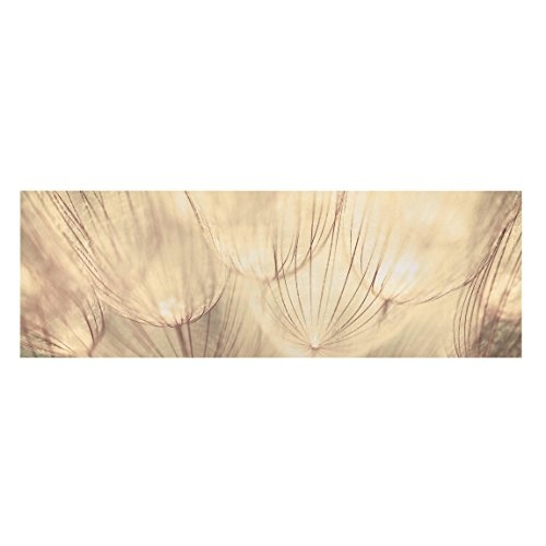 Bilderwelten Leinwandbild - Pusteblumen Nahaufnahme in Sepia - Panorama Quer, 50 x 150cm