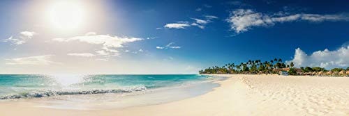 Leinwandbild in Galerie Qualität. Karibischer Strand mit Palmen und türkisem Wasser auf der Insel Aruba / Karibik. . Leinwand Panoramabild aufgezogen auf Naturholz Keilrahmen als Kunst Wandbild | Bild