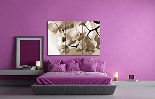 deyoli Orchideen Blüten Format: 3-teilig 120x80 Effekt: Sepia als Leinwandbild, Motiv fertig gerahmt auf Echtholzrahmen, Hochwertiger Digitaldruck mit Rahmen, Kein Poster oder Plakat