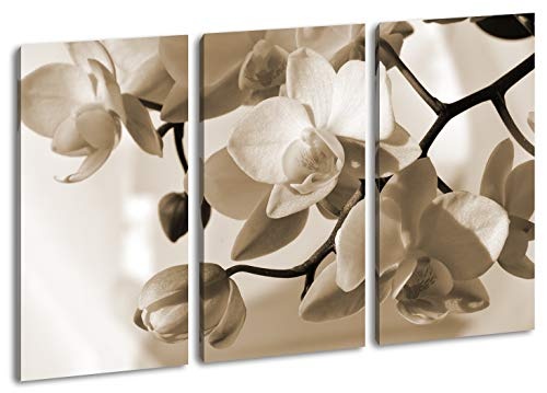 deyoli Orchideen Blüten Format: 3-teilig 120x80 Effekt: Sepia als Leinwandbild, Motiv fertig gerahmt auf Echtholzrahmen, Hochwertiger Digitaldruck mit Rahmen, Kein Poster oder Plakat