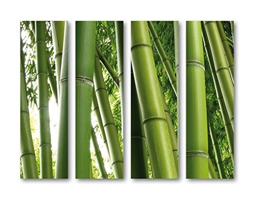 Leinwandbild Bamboo Trees Quattro Bambus Blätter...