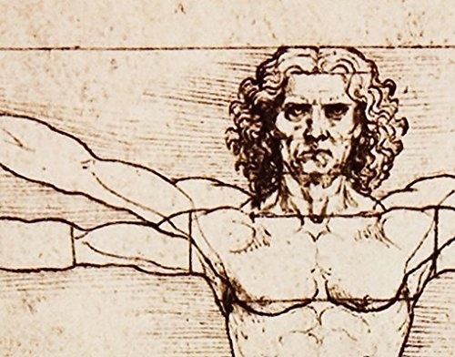 Leinwandbild Da Vinci 25-teilig Zeichnung Mensch Goldener Schnitt Vitruv, Leinwand, Leinwandbild XXL, Leinwanddruck, Wandbild