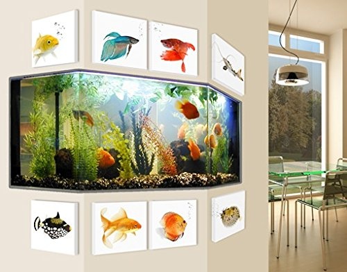 Leinwandbild Aquarium 8-teilig Fische Ozean Meer Schwimmen Exotisch Fische, Leinwand, Leinwandbild XXL, Leinwanddruck, Wandbild