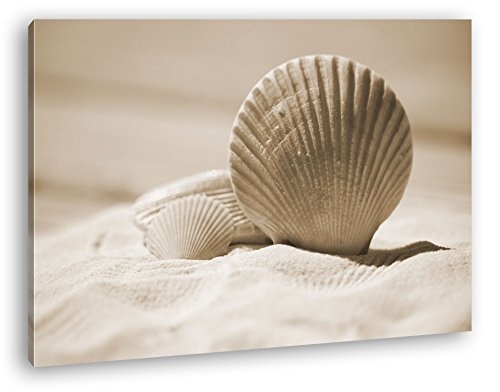 deyoli Klassische Muscheln im Sand Format: 120x80 Effekt: Sepia als Leinwandbild, Motiv fertig gerahmt auf Echtholzrahmen, Hochwertiger Digitaldruck mit Rahmen, Kein Poster oder Plakat