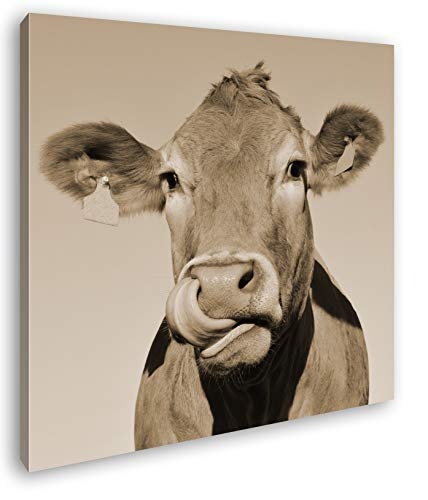 deyoli lustige Kuh Format: 60x60 Effekt: Sepia als Leinwandbild, Motiv fertig gerahmt auf Echtholzrahmen, Hochwertiger Digitaldruck mit Rahmen, Kein Poster oder Plakat